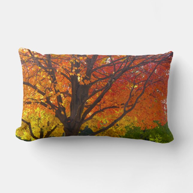 Autumn Leaves of Yellow and Orange Photo Lumbar Cushion (Front)