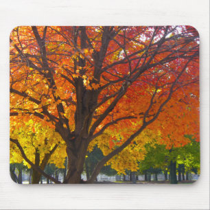 Autumn Leaves of Yellow and Orange Photo Mouse Mat