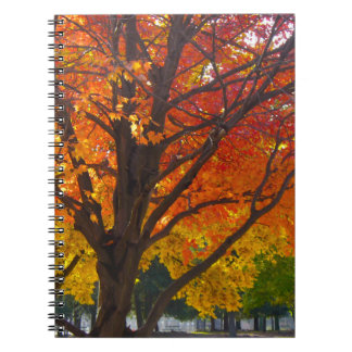 Autumn Leaves of Yellow and Orange Photo Notebook