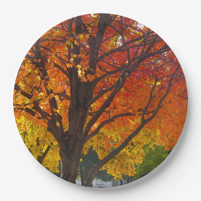 Autumn Leaves of Yellow and Orange Photo Paper Plate (Front)