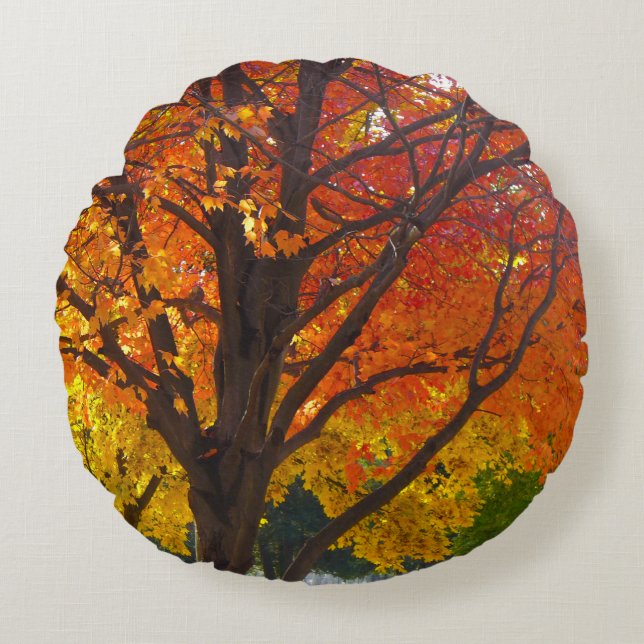 Autumn Leaves of Yellow and Orange Photo Round Cushion (Front)