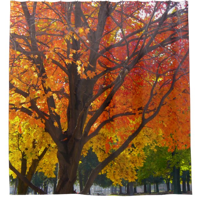 Autumn Leaves of Yellow and Orange Photo Shower Curtain (Front)