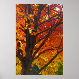 Autumn Leaves of Yellow and Orange, Vertical ZSSPG Poster