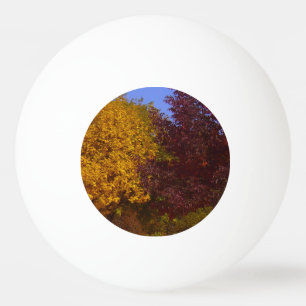 Autumn Leaves of Yellow and Purple, ZSSPG Ping Pong Ball