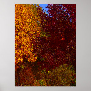 Autumn Leaves of Yellow and Purple, ZSSPG Poster