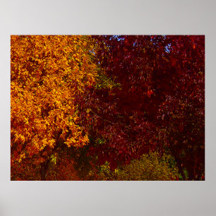 Autumn Leaves of Yellow and Purple, ZSSPG Poster