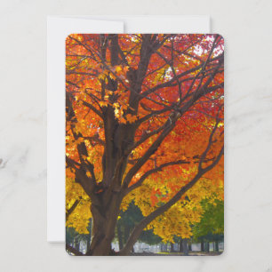 Autumn Leaves of Yellow Orange Invitation