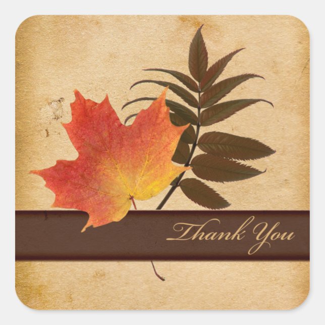 Autumn Leaves on Aged Paper Square Thank You Sticker (Front)