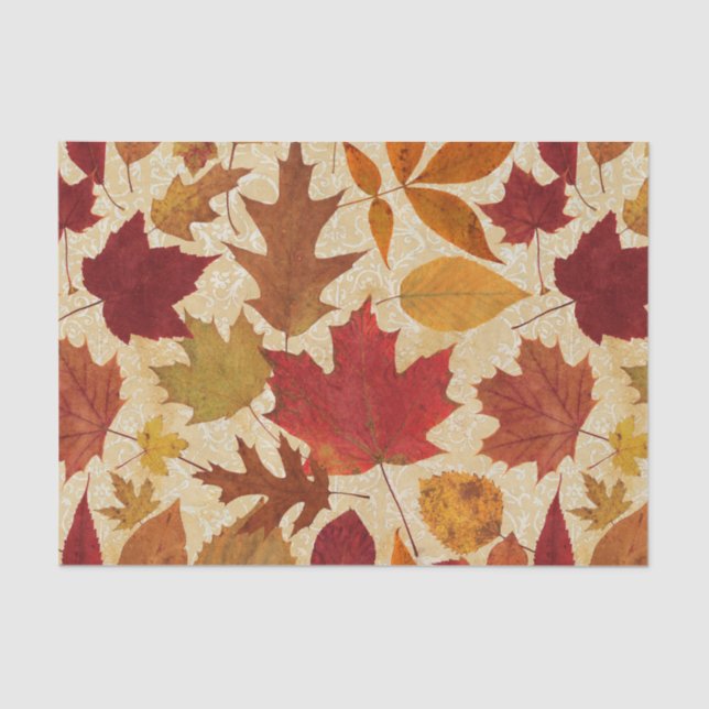 Autumn Leaves on Beige Tissue Paper (Front)