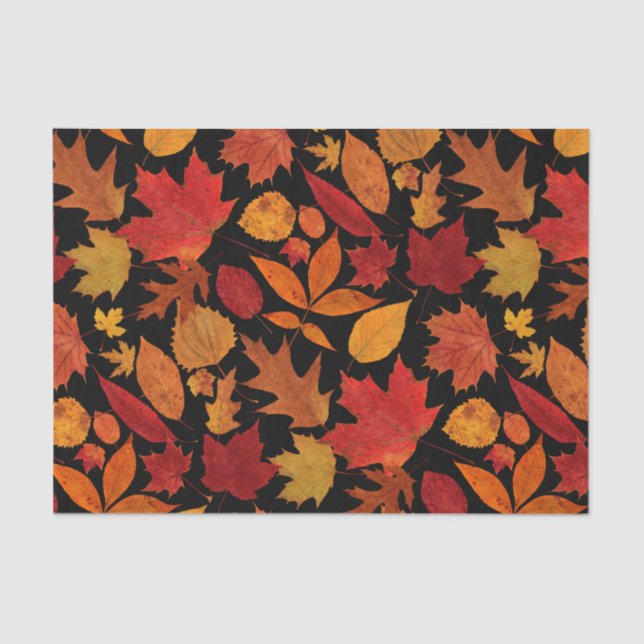 Autumn Leaves on Black Tissue Paper (Front)