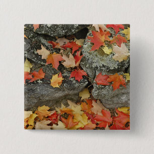 Autumn leaves on stone wall, Minute Man 15 Cm Square Badge