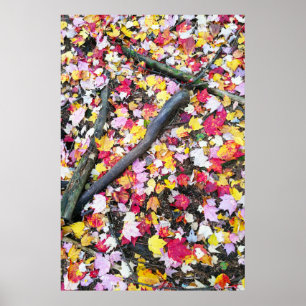 Autumn leaves on the ground poster