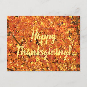 Autumn Leaves on Tree - photograph. Postcard