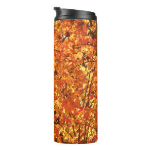 Autumn Leaves on Tree - photograph. Thermal Tumbler