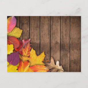 Autumn Leaves on Wood Background Postcard