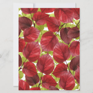 Autumn Leaves Pattern