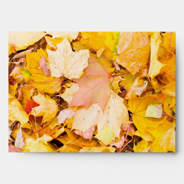 Autumn leaves pattern envelope (Front)