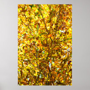 Autumn leaves pattern poster