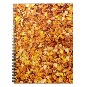 Autumn Leaves Photo Notebook