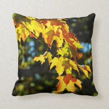 Autumn Leaves  Pillow