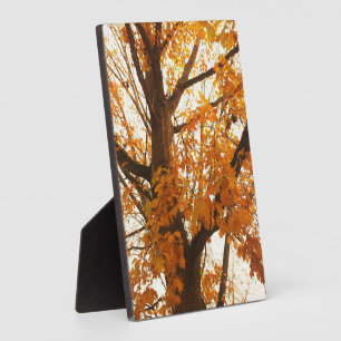Autumn Leaves Plaque