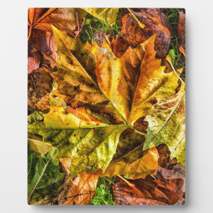 Autumn leaves plaque