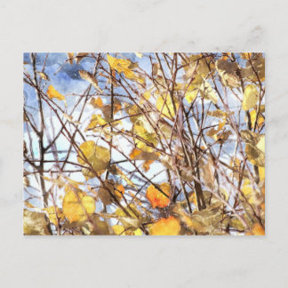 Autumn Leaves Postcard