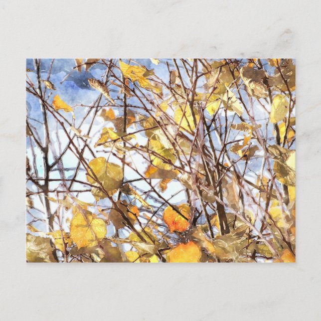 Autumn Leaves Postcard (Front)