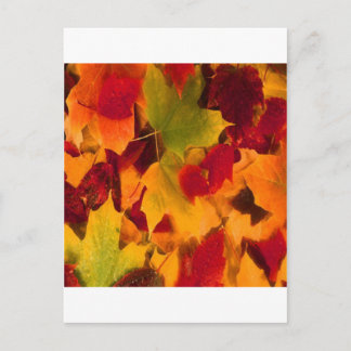 AUTUMN LEAVES POSTCARD