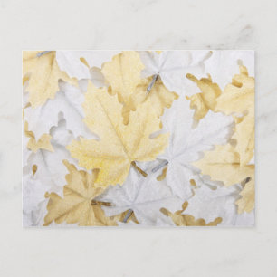 Autumn Leaves Postcard