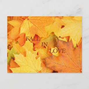 Autumn Leaves Postcard