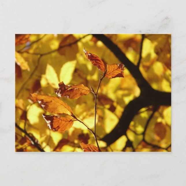 Autumn leaves postcard yellow mustard (Front)