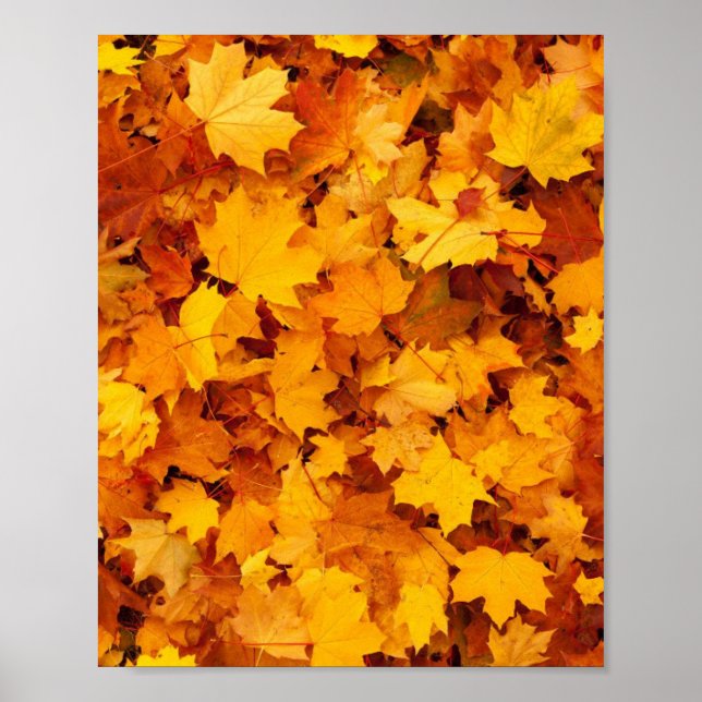 Autumn Leaves Poster (Front)