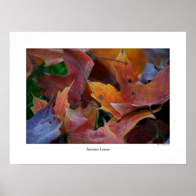Autumn Leaves Poster (Front)