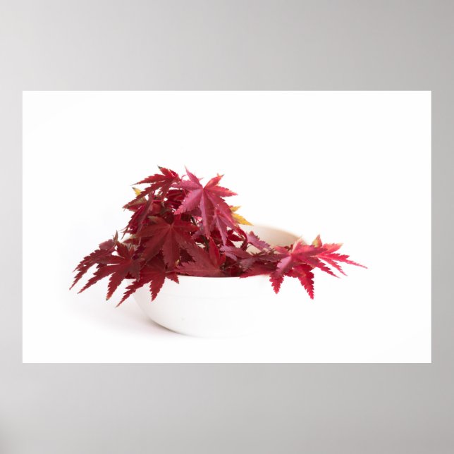 Autumn leaves poster (Front)