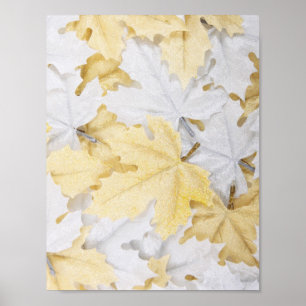 Autumn Leaves Poster