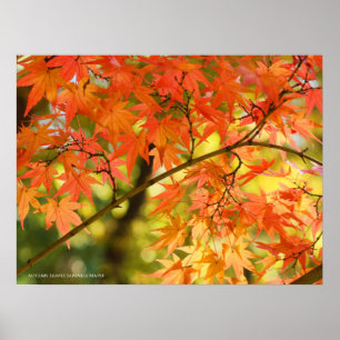Autumn Leaves [Poster] Poster
