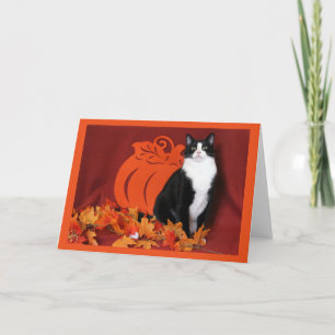 Autumn Leaves, Pumpkin, and Tuxedo Cat Holiday Card