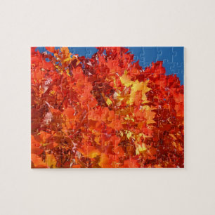 Autumn Leaves Puzzle Orange Fall Trees puzzles