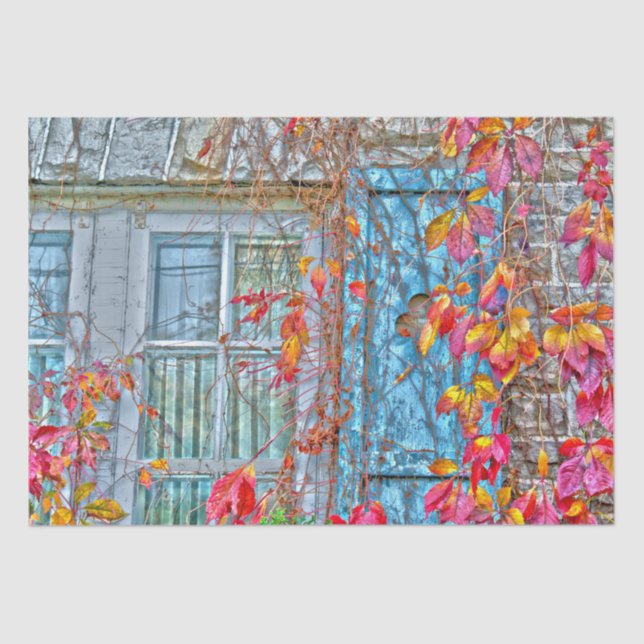 Autumn Leaves Red Blue Antique Country Window Tissue Paper (Front)