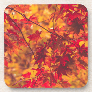 Autumn Leaves Red Fall Colour Coaster