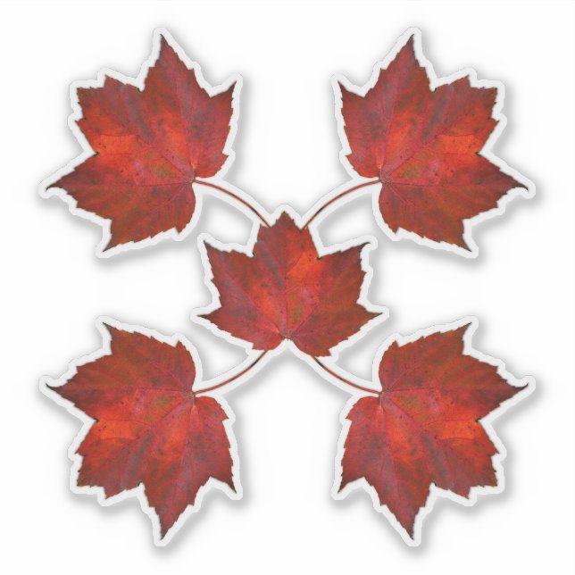 Autumn Leaves Red Leaf Shapes (Front)