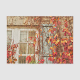 Autumn Leaves Red Yellow Antique Country Window Tissue Paper