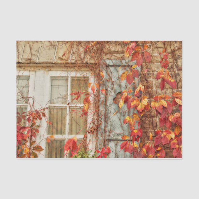 Autumn Leaves Red Yellow Antique Country Window Tissue Paper (Front)