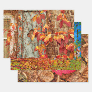 Autumn Leaves Red Yellow Orange Country Rustic Wrapping Paper Sheet