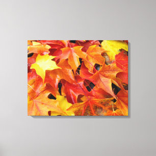 Autumn Leaves Red Yellow Orange Fall Canvas art