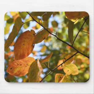 Autumn Leaves Riverside Park New York City NYC Mouse Mat
