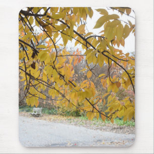 Autumn Leaves Riverside Park New York City NYC Mouse Mat