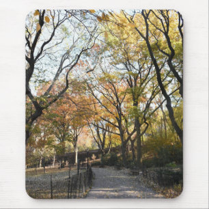 Autumn Leaves Riverside Park New York City NYC Mouse Mat