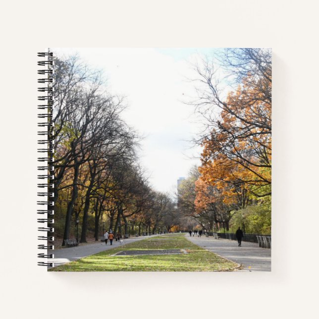 Autumn Leaves Riverside Park New York City NYC Notebook (Front)